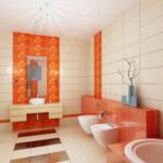 Colorful Bathroom Accessories