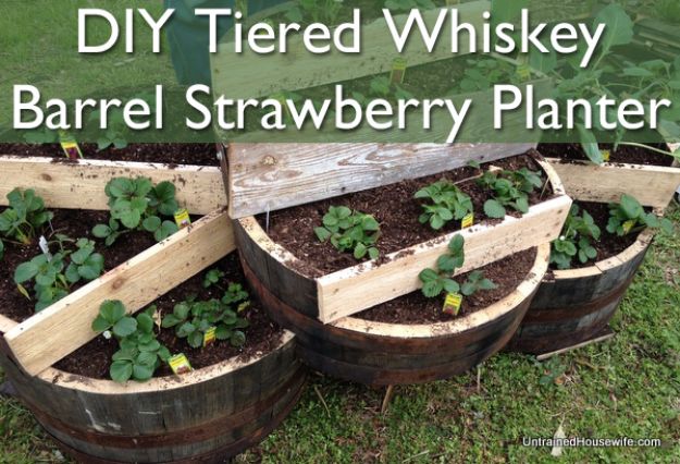 15 Old Wine Barrels DIY Projects For A Rustic Look